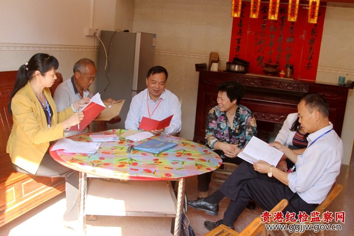 扶贫领域监督执纪问责工作巡查调研,贵港市市委常委,纪委书记秦金敏图片