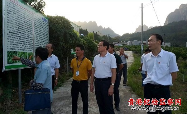 秦金敏到平南县大鹏镇调研